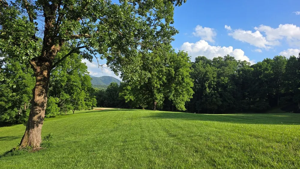 Lot 17C Ash Branch Court Hayesville, NC 28904