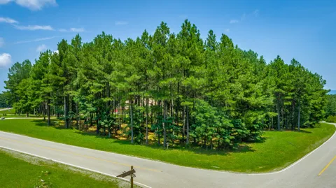 River Bluffs Drive