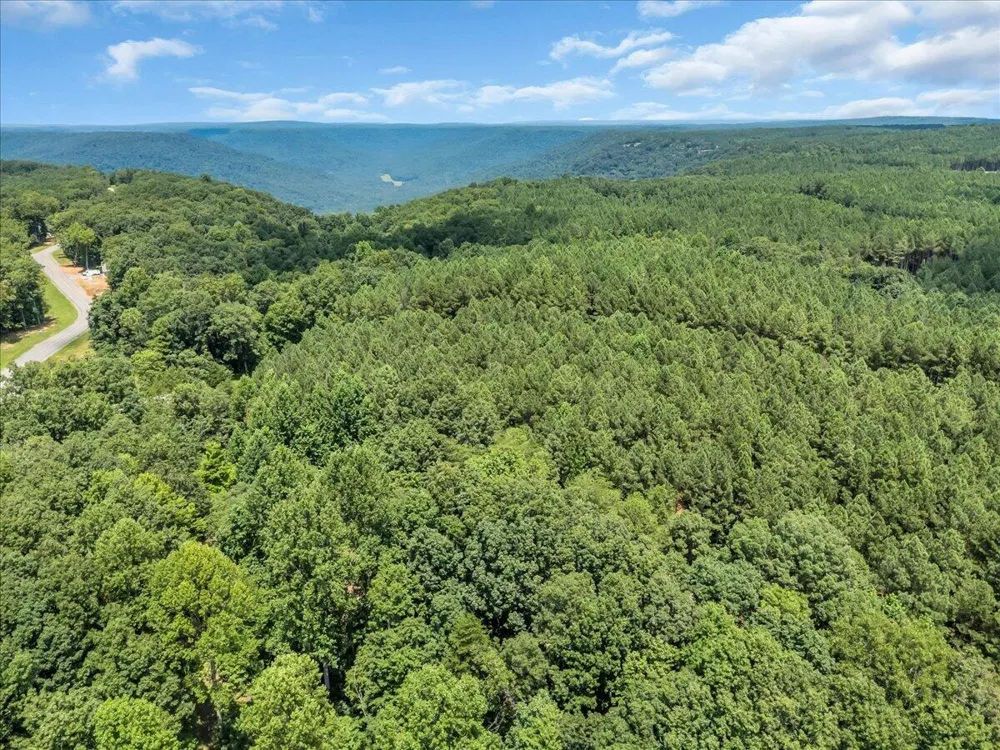 Moonlight Lane Jasper, TN 37347