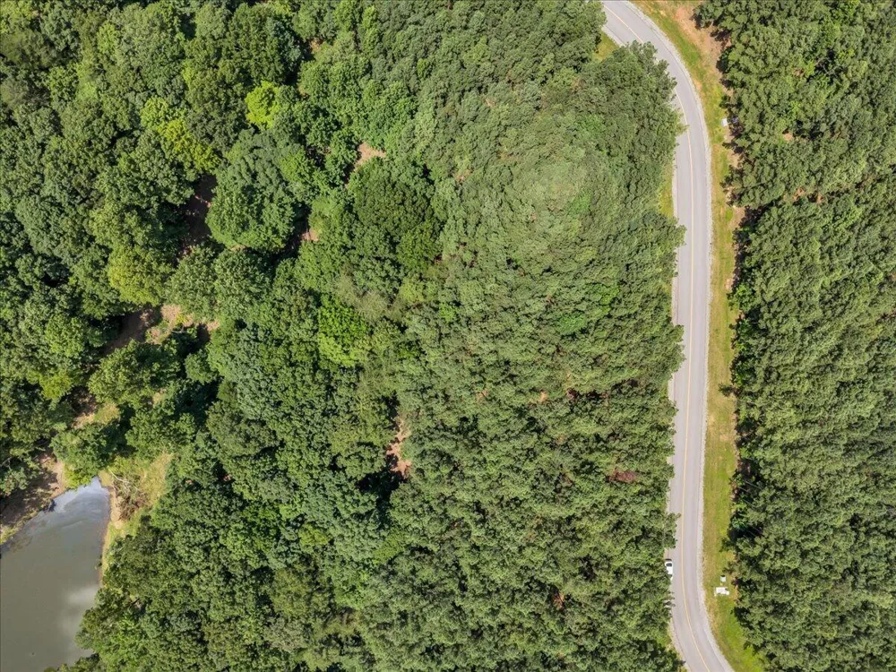 Moonlight Lane Jasper, TN 37347