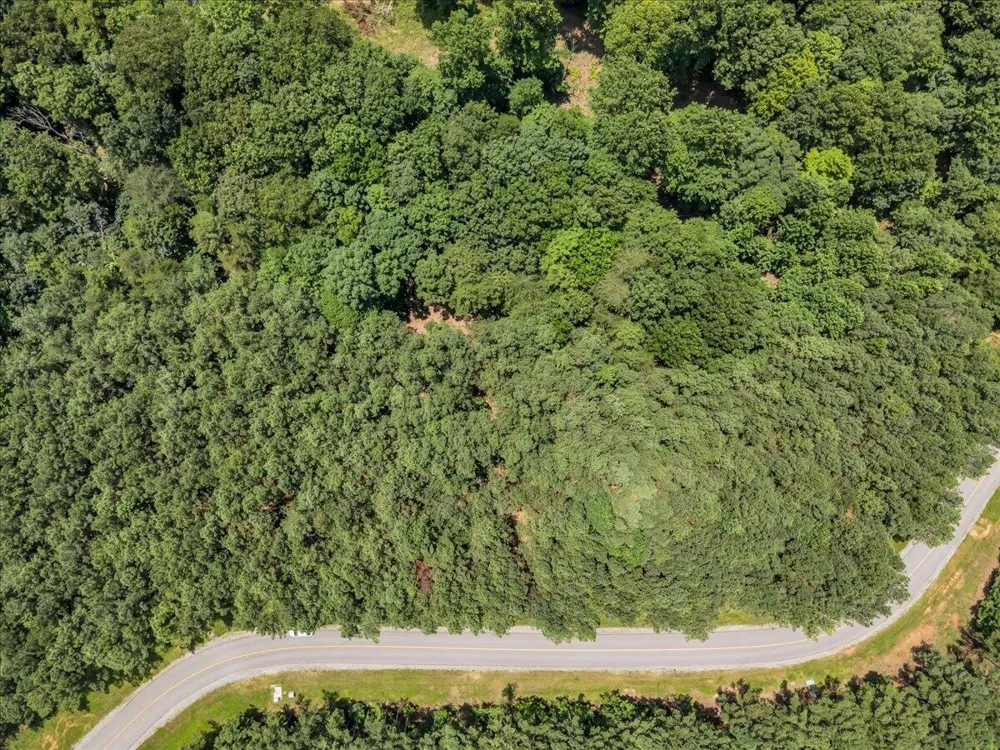 Moonlight Lane Jasper, TN 37347