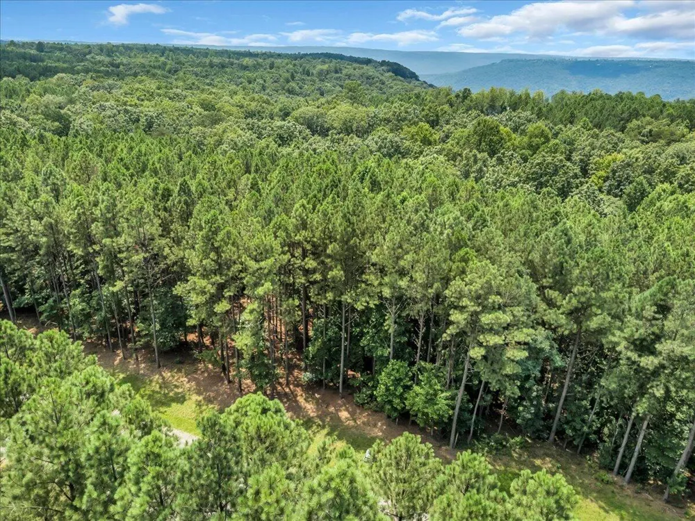 Moonlight Lane Jasper, TN 37347