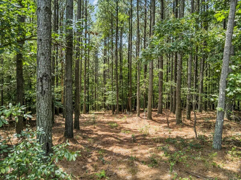 Moonlight Lane Jasper, TN 37347