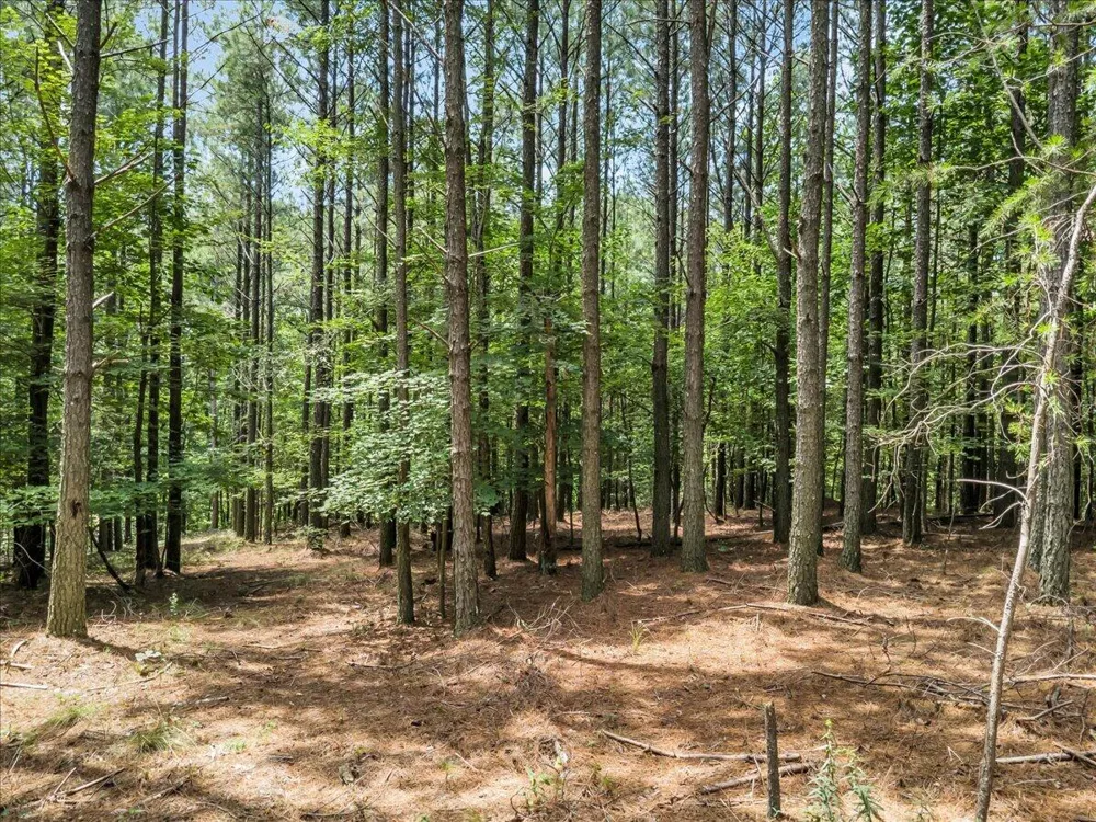 Moonlight Lane Jasper, TN 37347