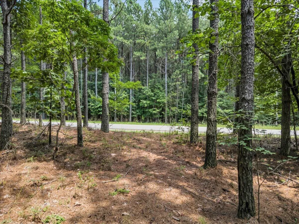 Moonlight Lane Jasper, TN 37347