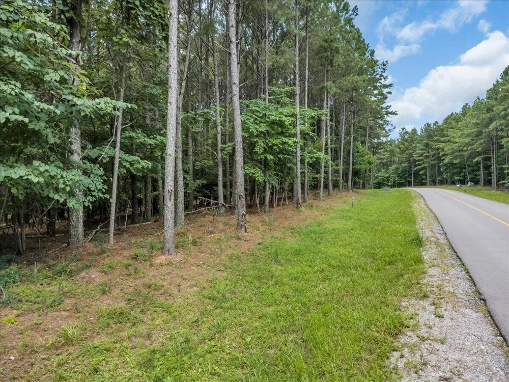Moonlight Lane Jasper, TN 37347