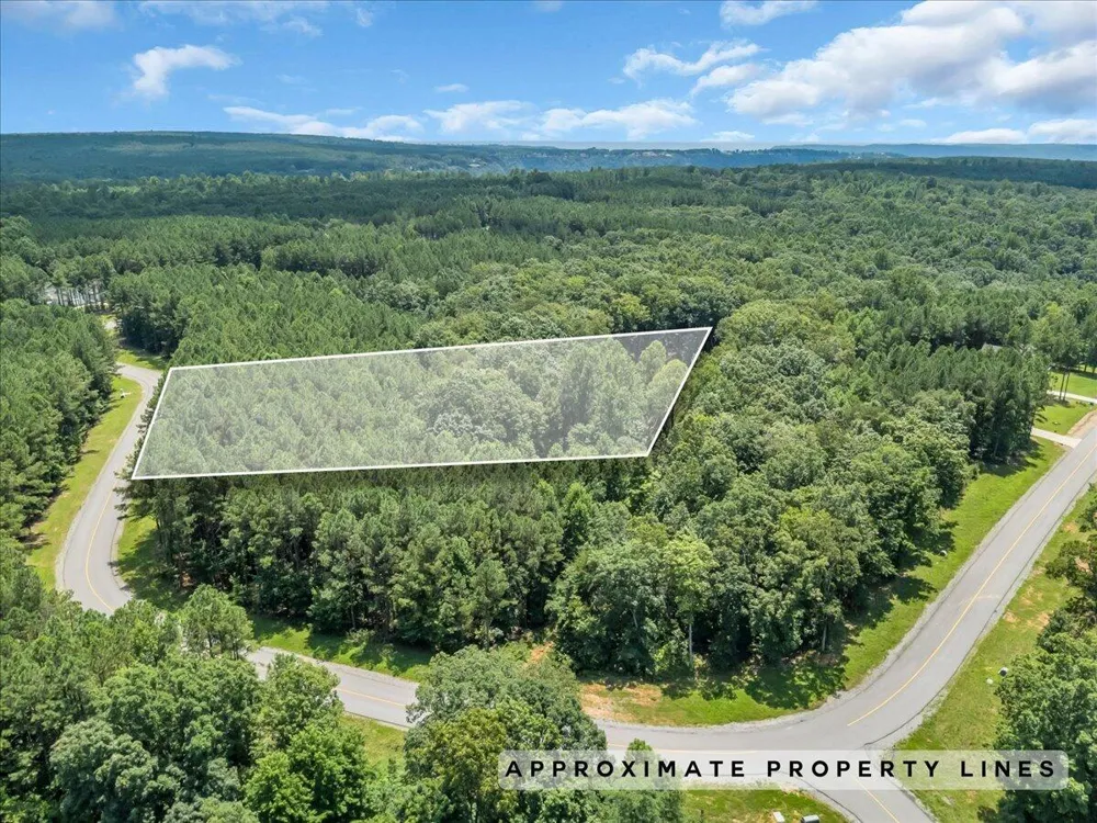 Moonlight Lane Jasper, TN 37347