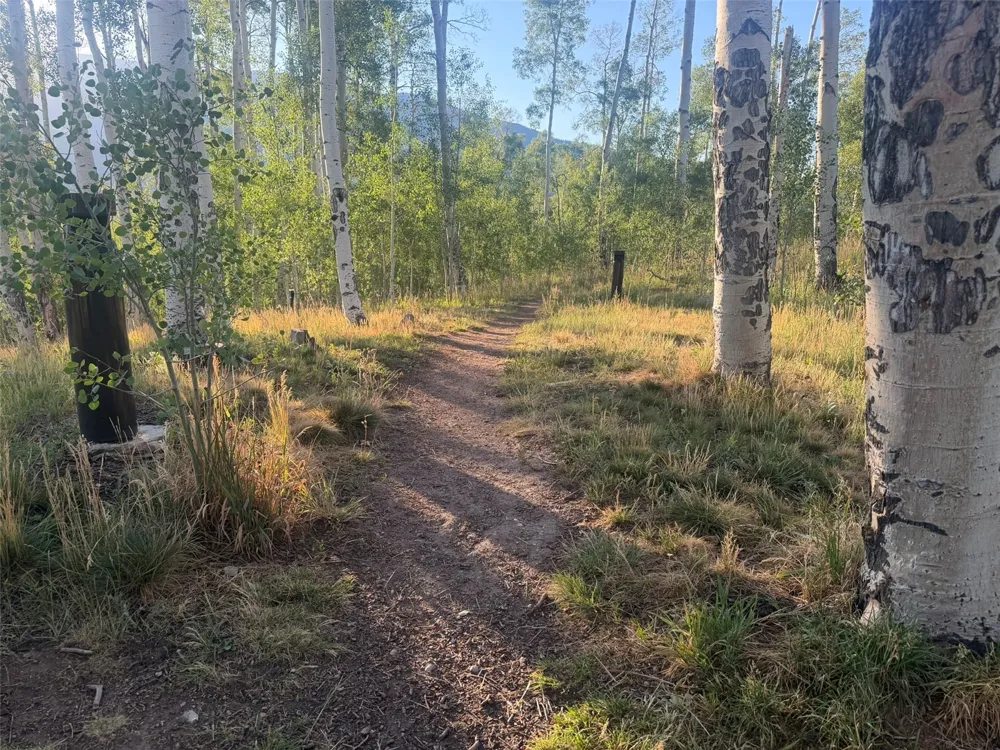 116 Youngs Preserve Road Silverthorne, CO 80498