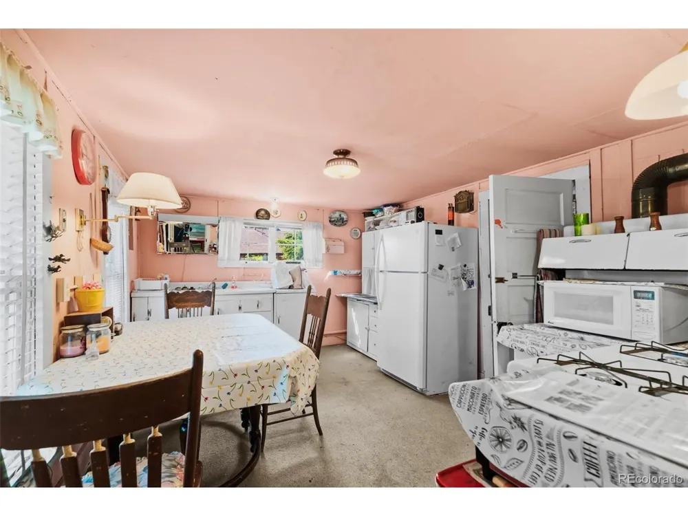 137 Pine Street Alma, CO 80420
