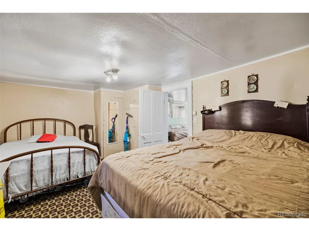 137 Pine Street Alma, CO 80420