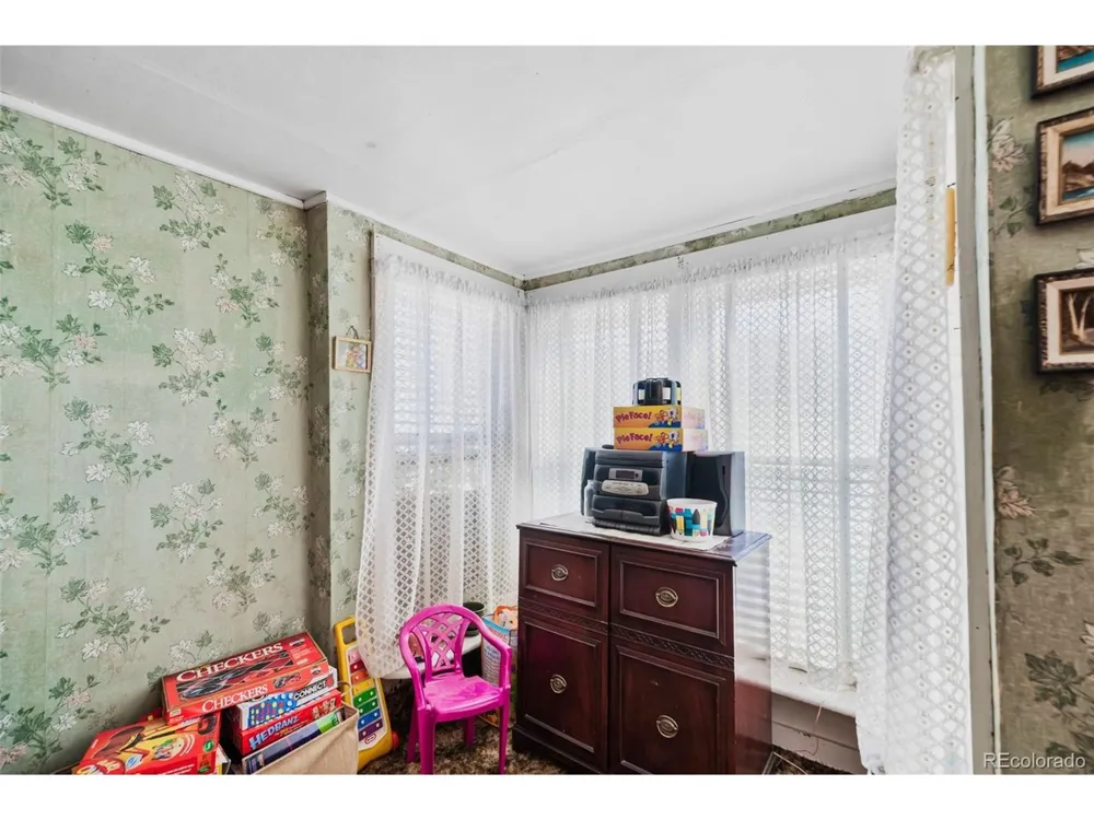 137 Pine Street Alma, CO 80420