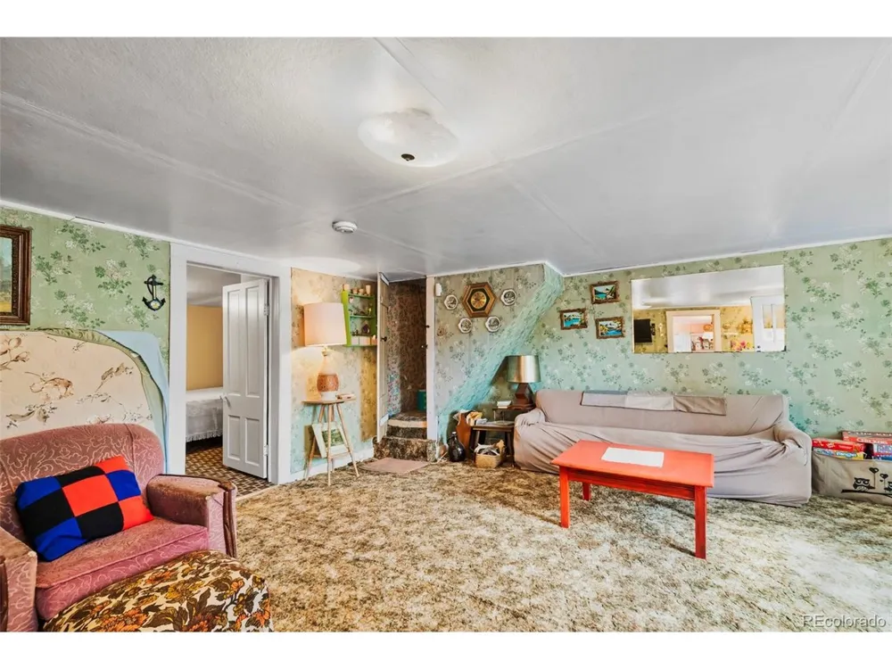 137 Pine Street Alma, CO 80420