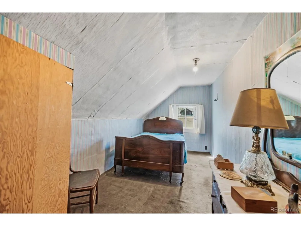 137 Pine Street Alma, CO 80420