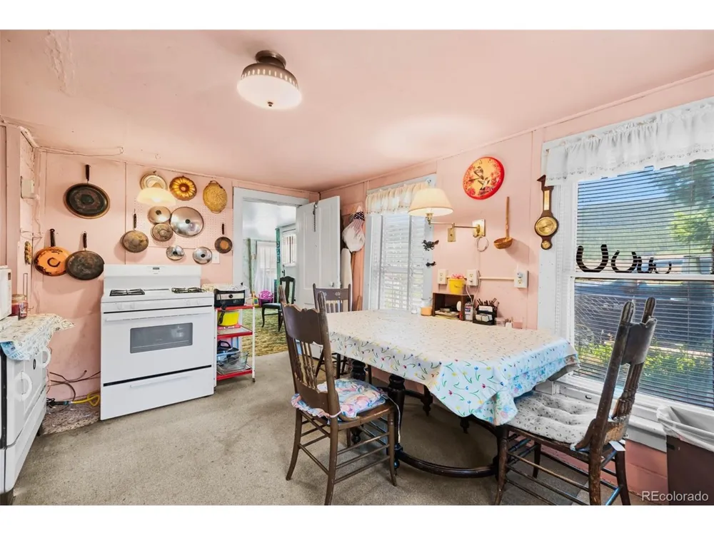 137 Pine Street Alma, CO 80420