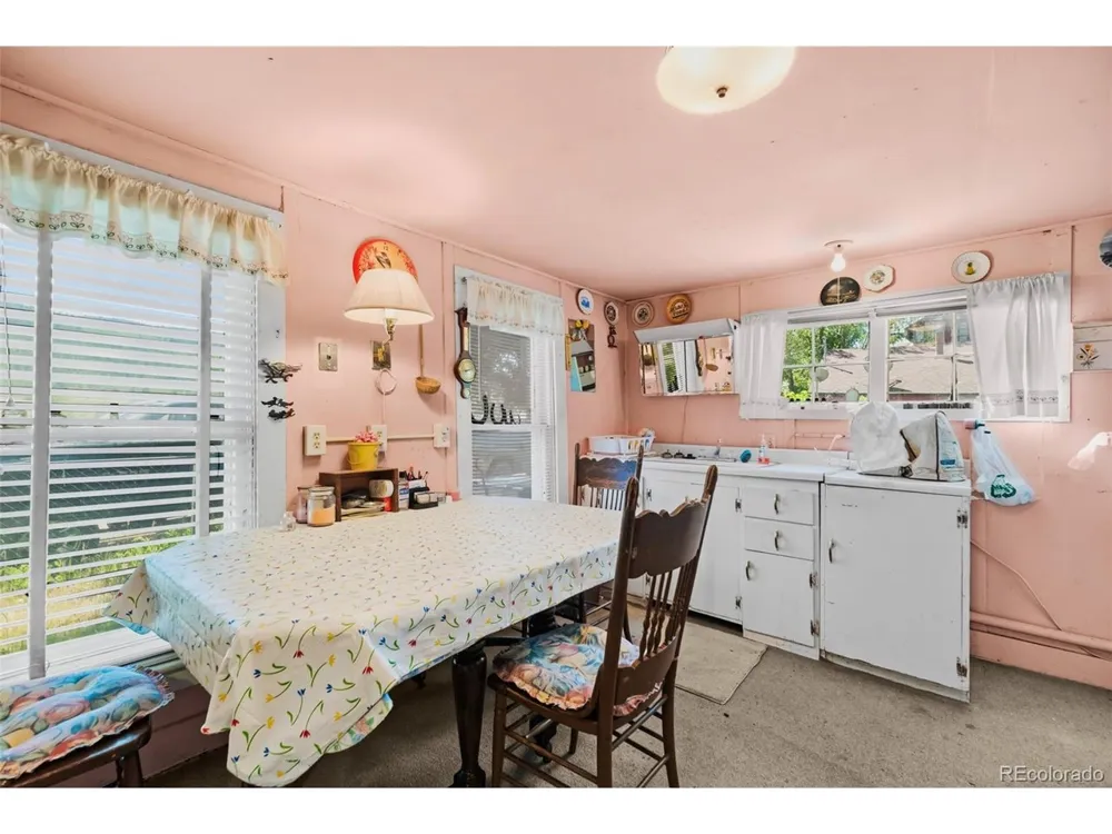 137 Pine Street Alma, CO 80420