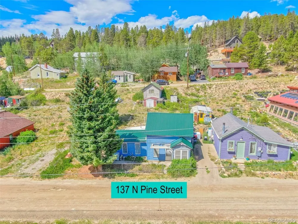 137 Pine Street Alma, CO 80420