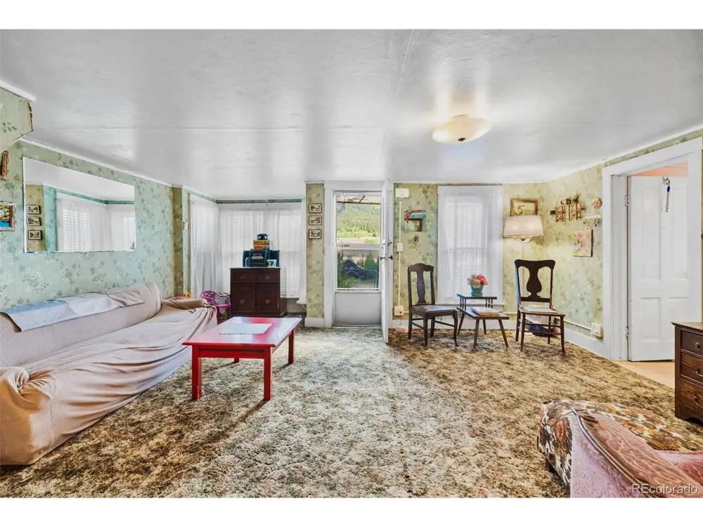 137 Pine Street Alma, CO 80420