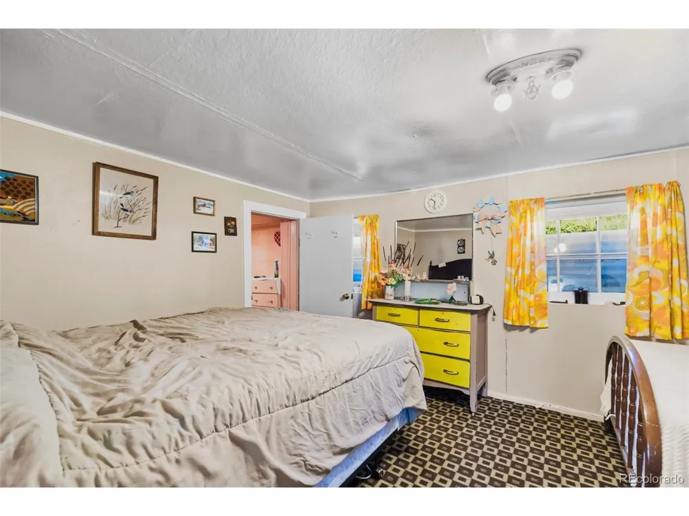 137 Pine Street Alma, CO 80420