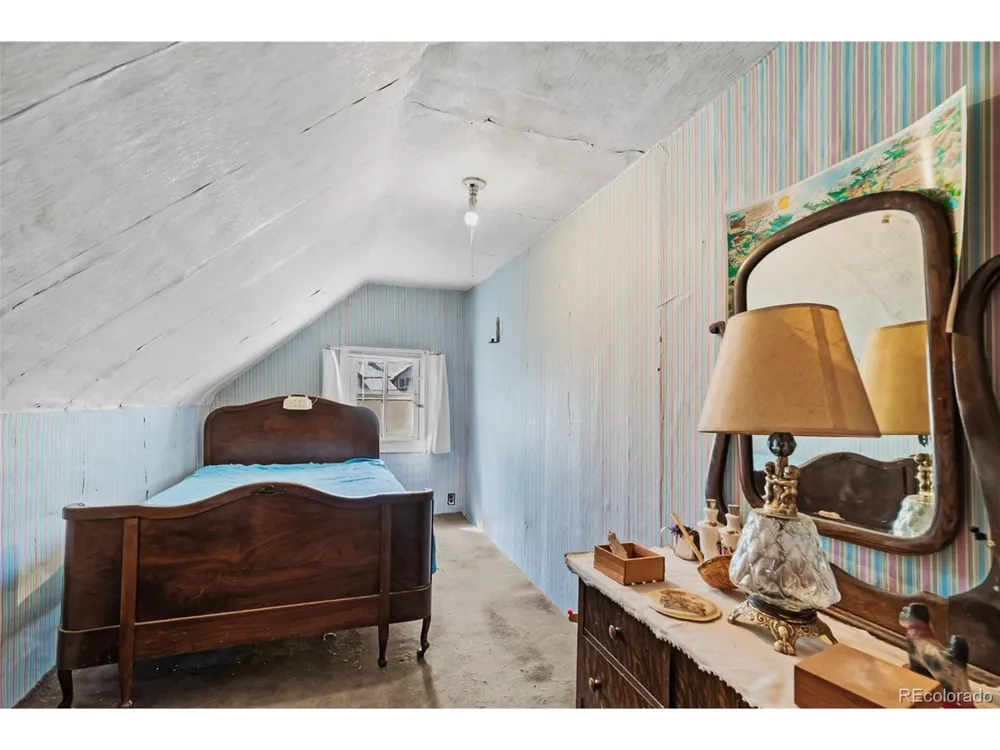 137 Pine Street Alma, CO 80420