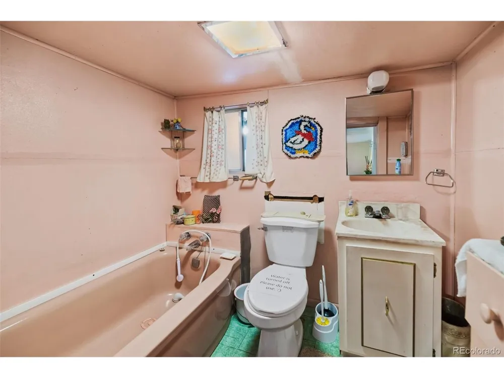 137 Pine Street Alma, CO 80420