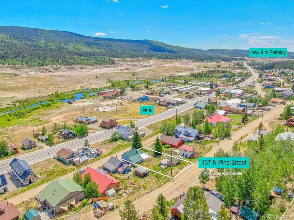 137 Pine Street Alma, CO 80420