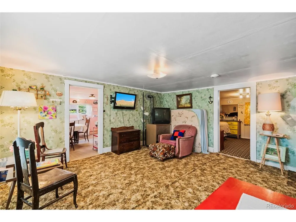 137 Pine Street Alma, CO 80420