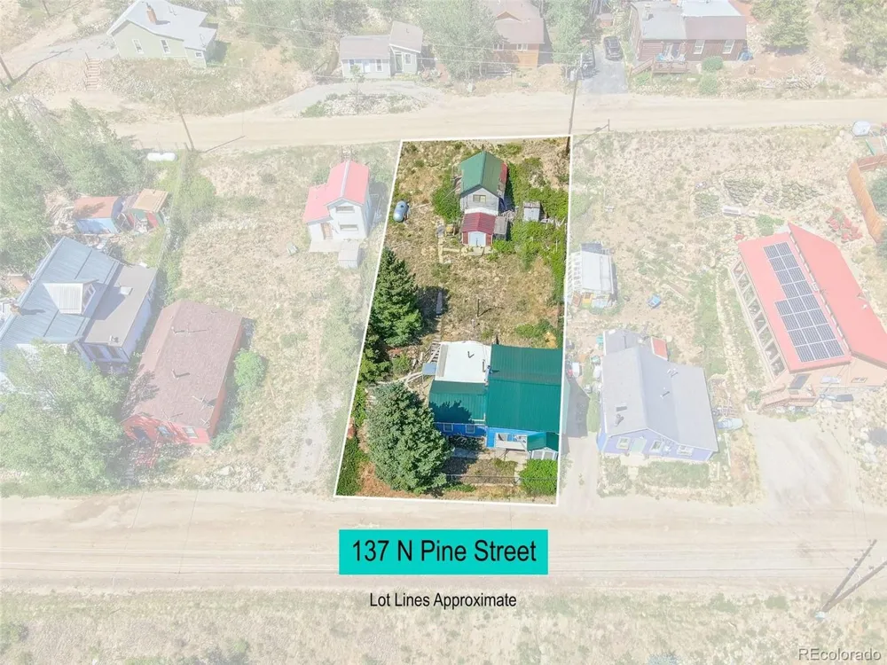 137 Pine Street Alma, CO 80420