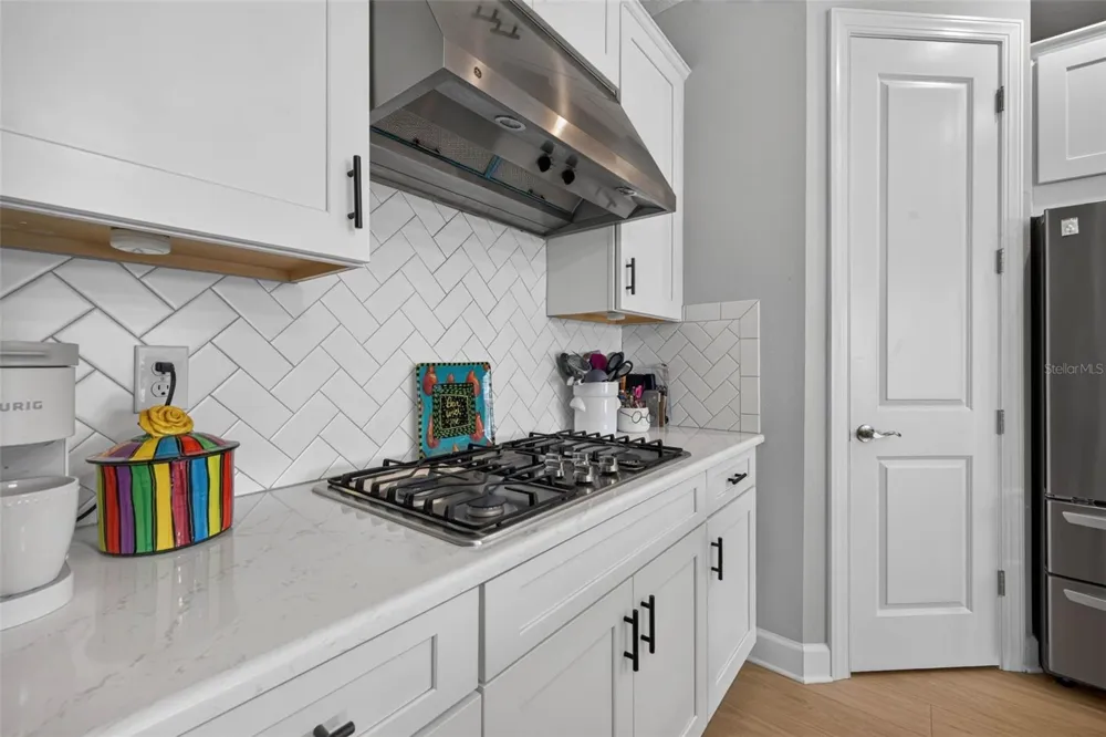 11108 CALLUNA DRIVE Odessa, FL 33556