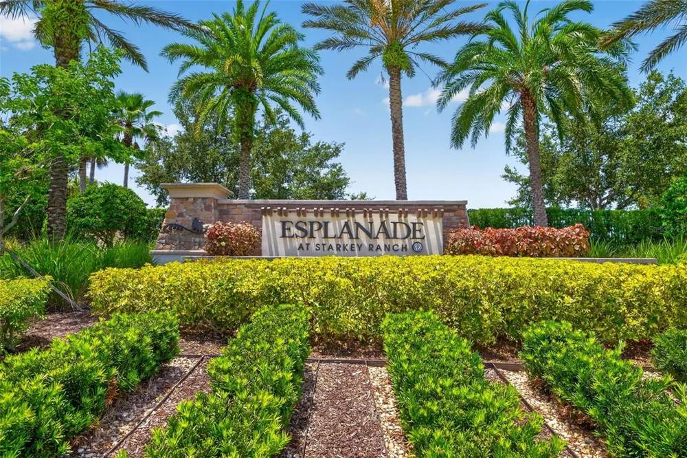 11108 CALLUNA DRIVE Odessa, FL 33556