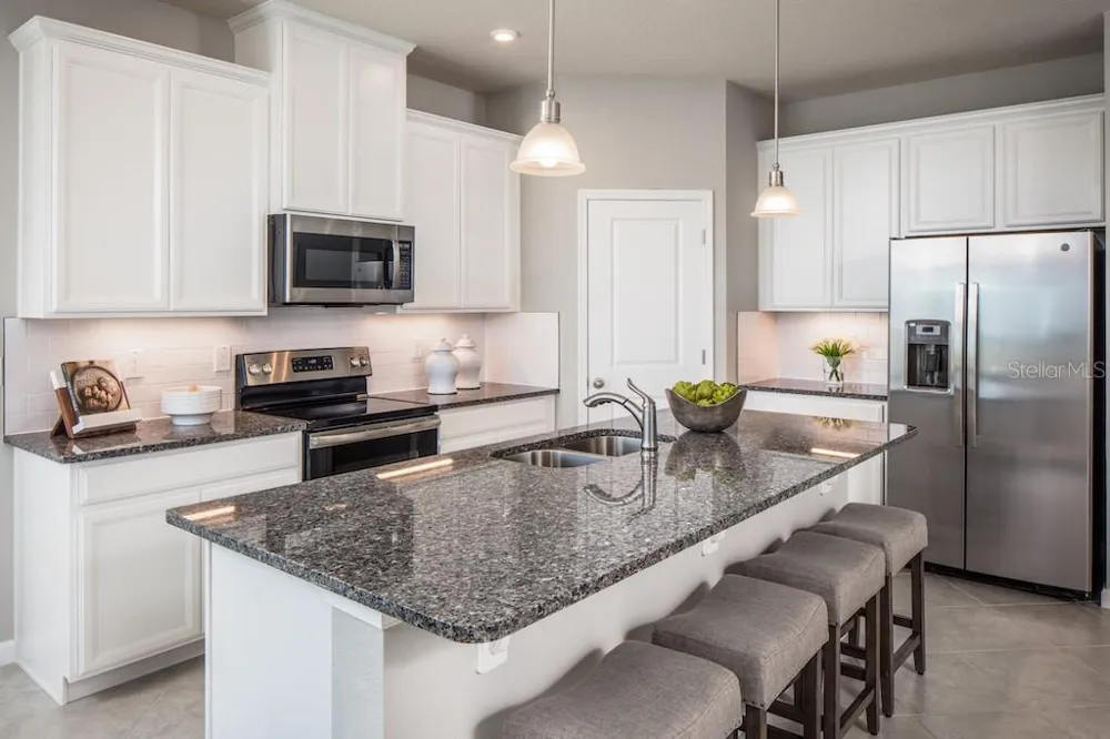 1079 OCEAN LODGE ROAD Lady Lake, FL 32159