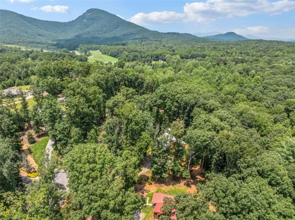 88 Old Vineyard Way Cleveland, GA 30528