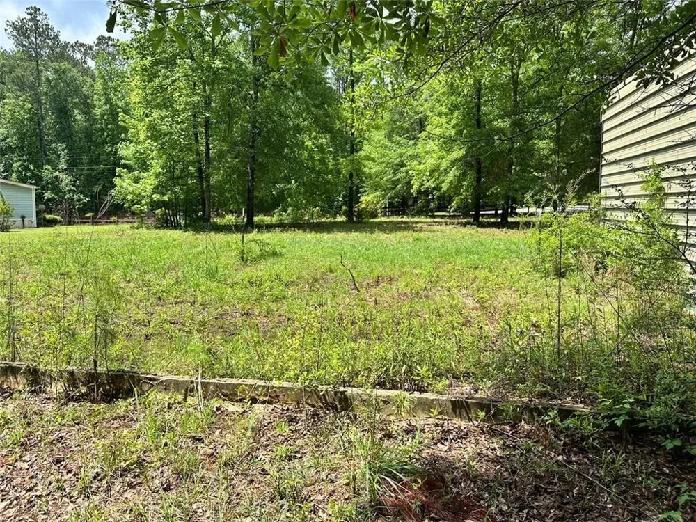234 Vaughn Circle Griffin, GA 30223