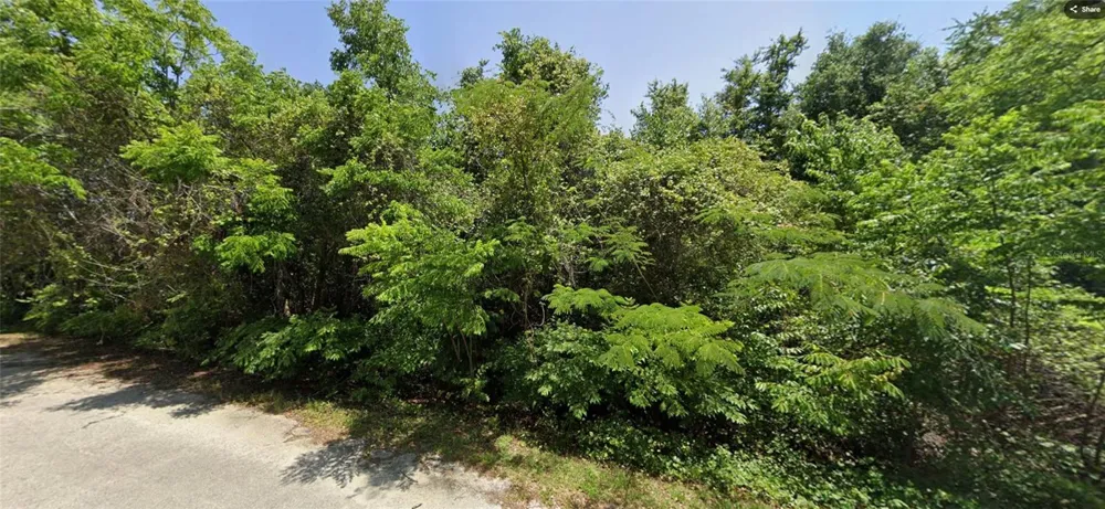 19 SE 146 LANE Summerfield, FL 34491
