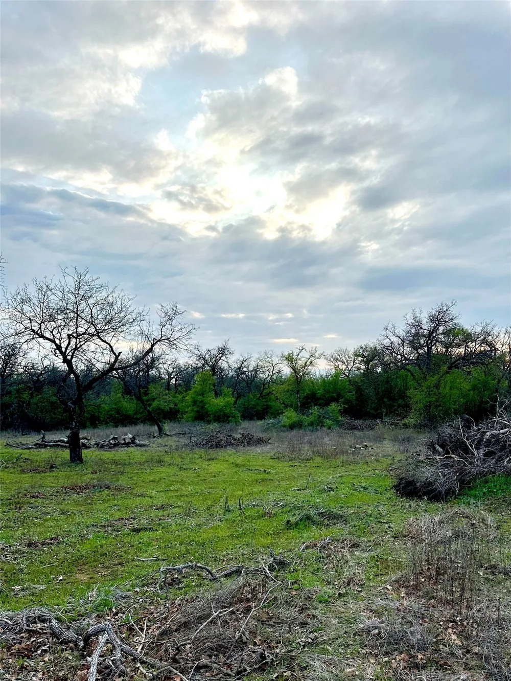 Stage Coach Trail Gordon, TX 76453