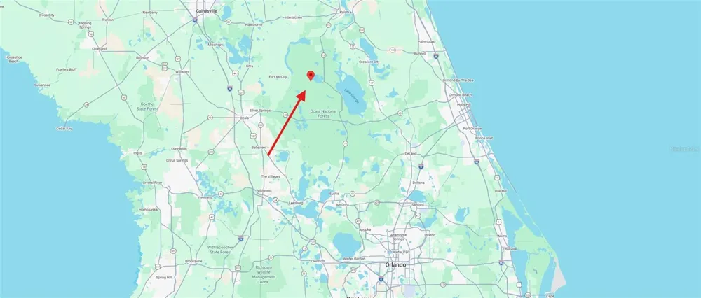 0 NE 213 AVENUE Fort Mc Coy, FL 32134