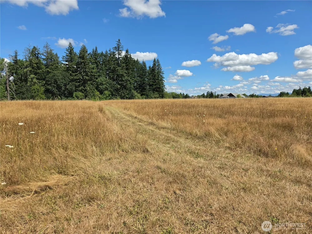 177 Poetsch Road Toledo, WA 98591