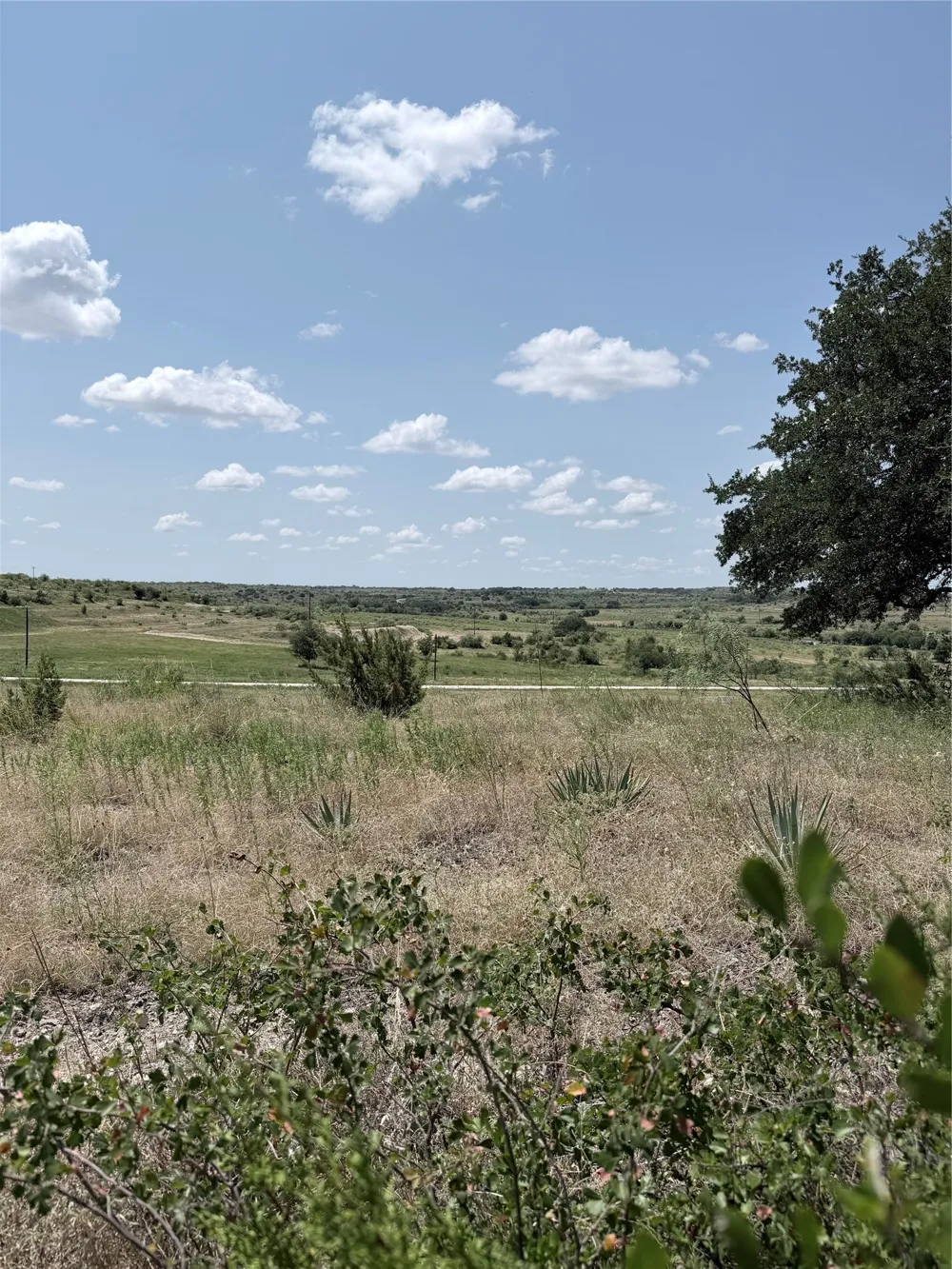 178 Twisted Creek Drive Gustine, TX 76455