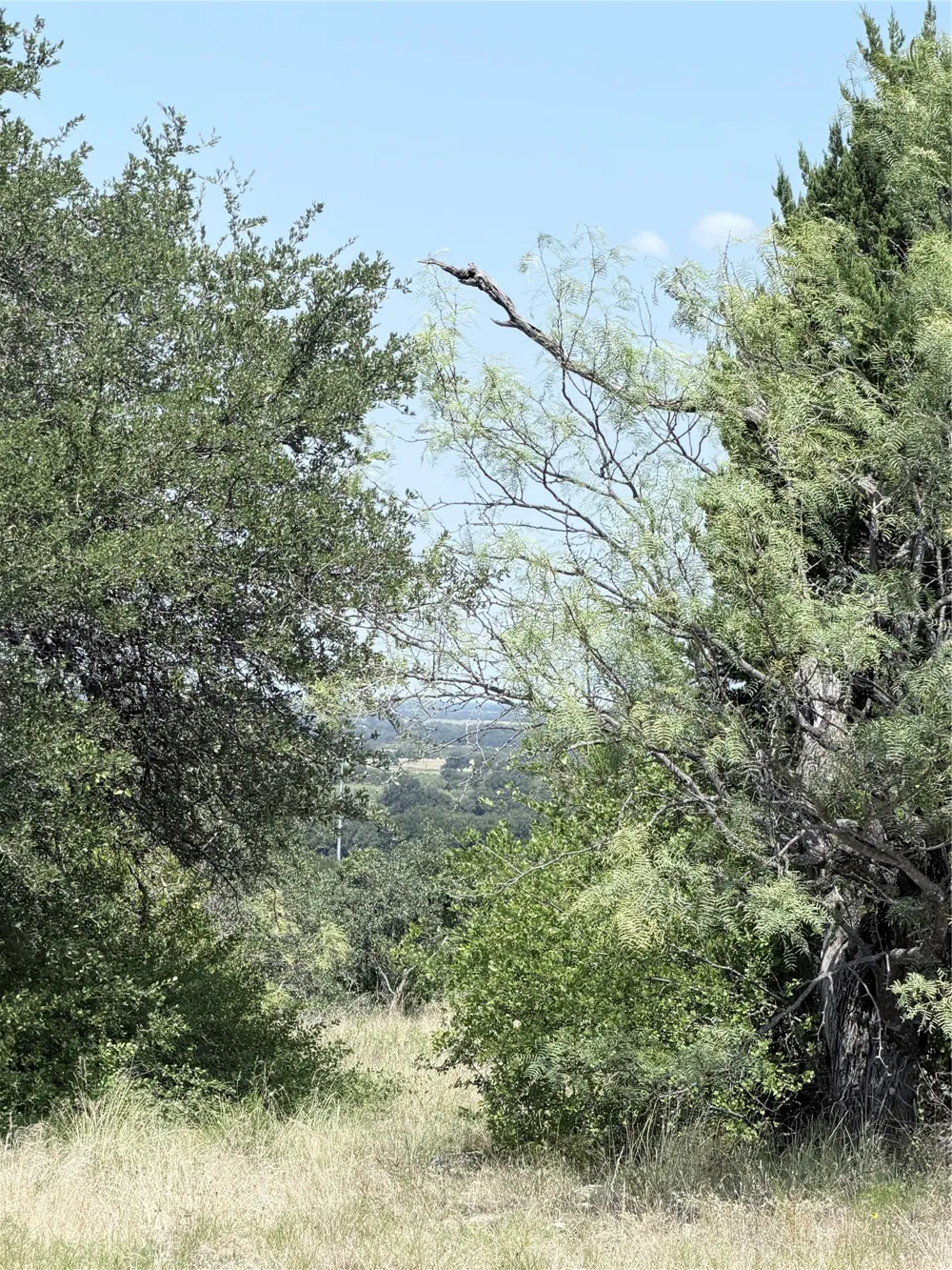 178 Twisted Creek Drive Gustine, TX 76455