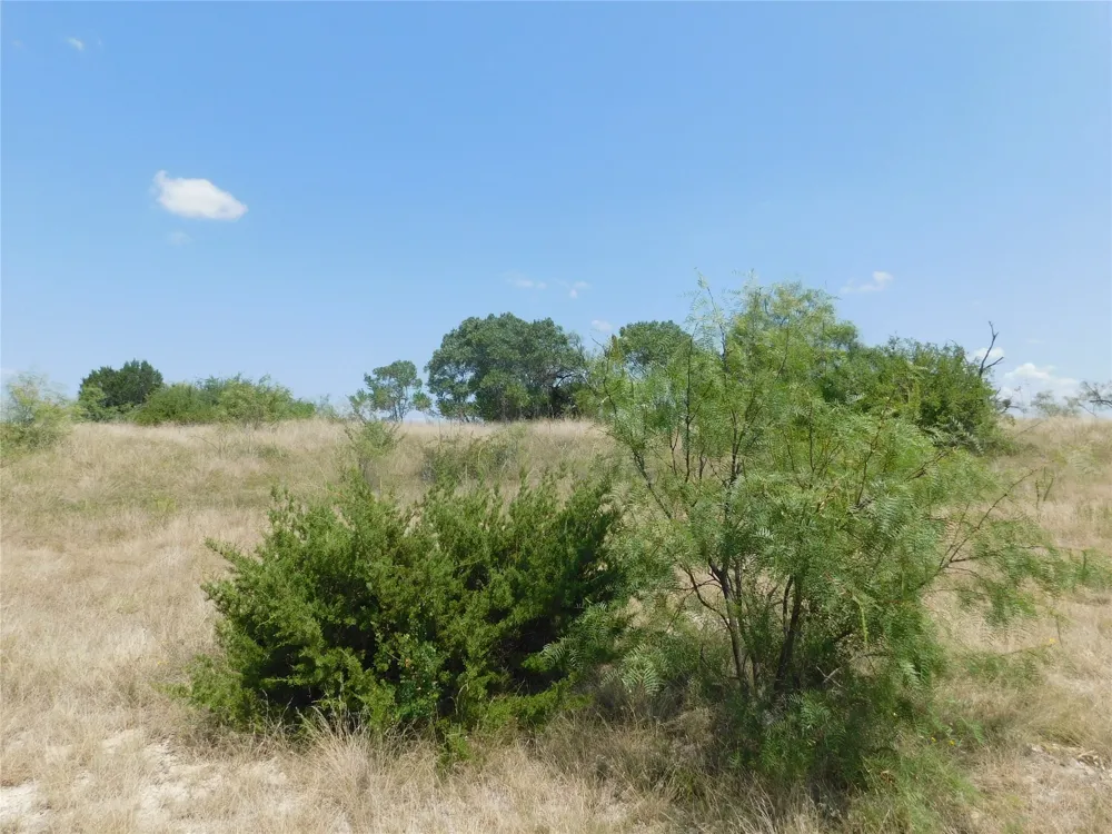178 Twisted Creek Drive Gustine, TX 76455