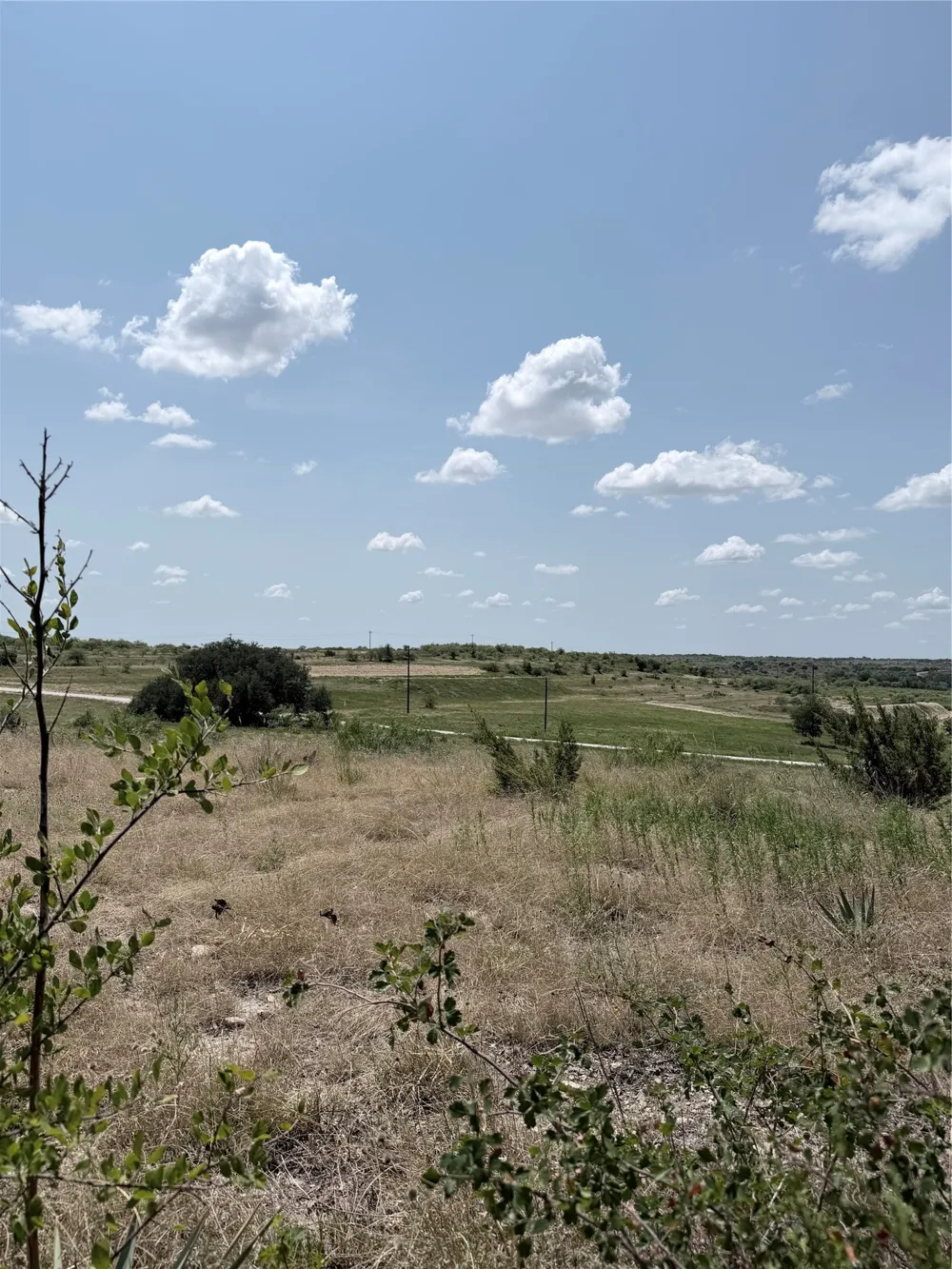 178 Twisted Creek Drive Gustine, TX 76455