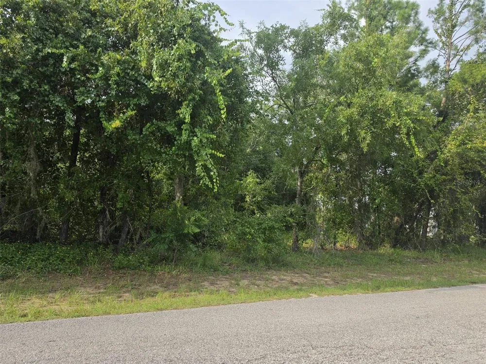 1567 E CLEVELAND STREET Hernando, FL 34442