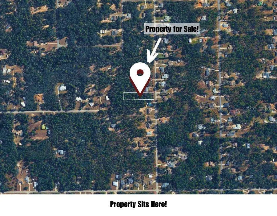1567 E CLEVELAND STREET Hernando, FL 34442