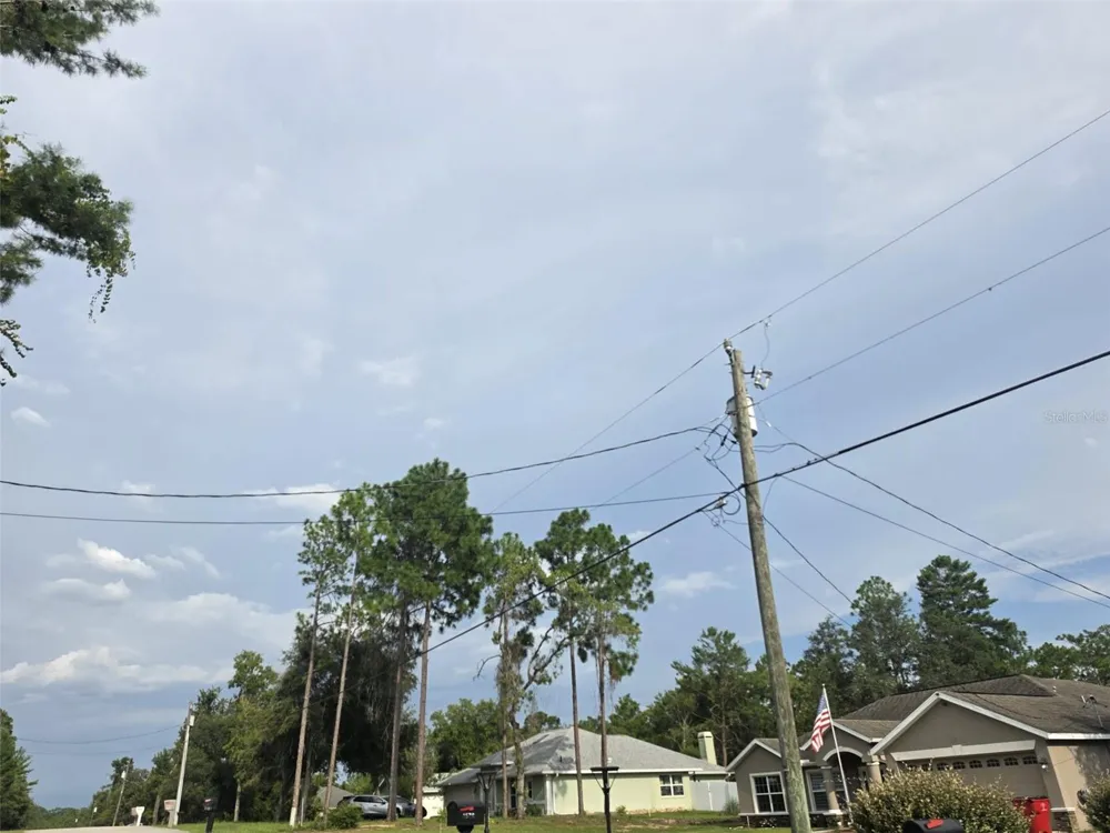 1567 E CLEVELAND STREET Hernando, FL 34442