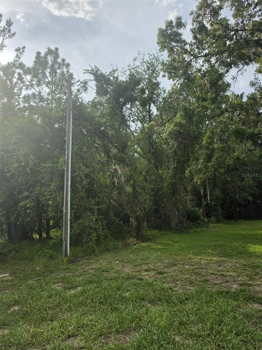 1567 E CLEVELAND STREET Hernando, FL 34442