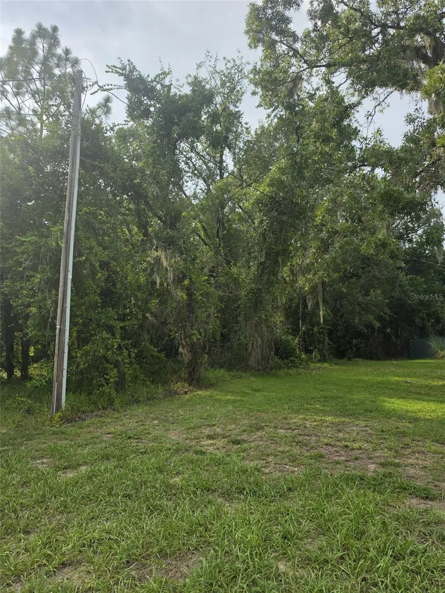 1567 E CLEVELAND STREET Hernando, FL 34442