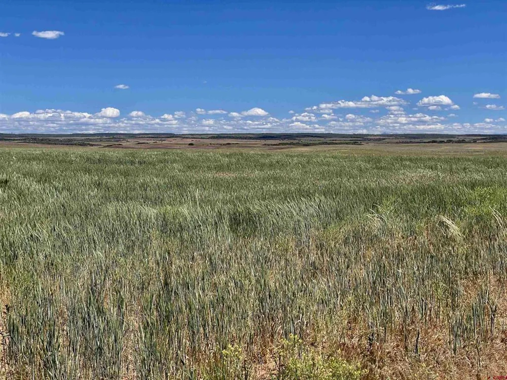 2 Road Z Lewis, CO 81327