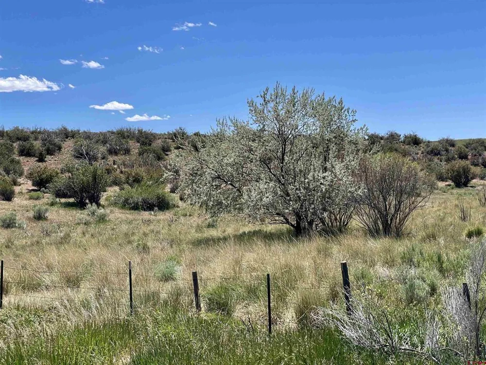 1 Road AA Lewis, CO 81327