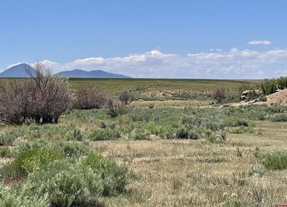1 Road AA Lewis, CO 81327