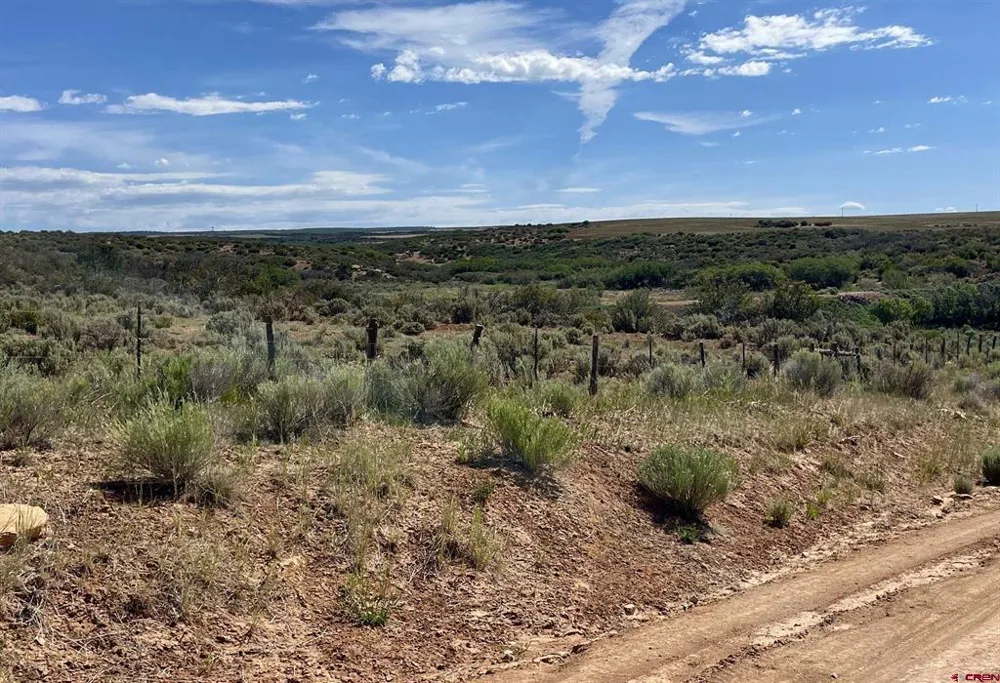 1 Road AA Lewis, CO 81327