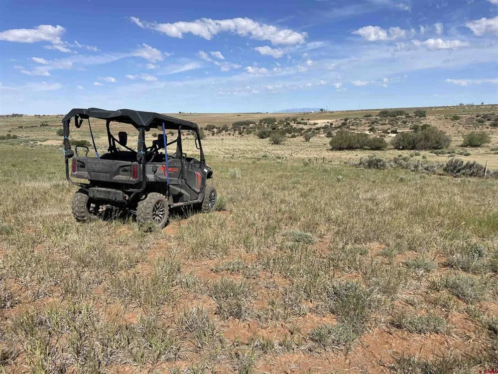 1 Road AA Lewis, CO 81327